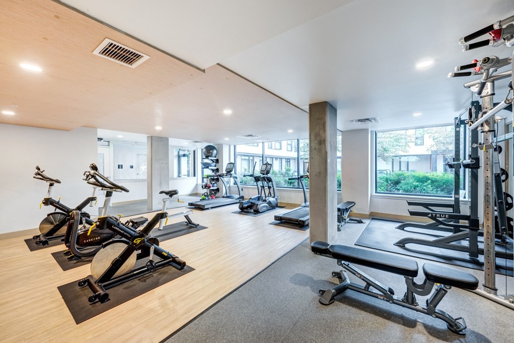 A gym with a row of stationary bikes and a row of dumbbells.